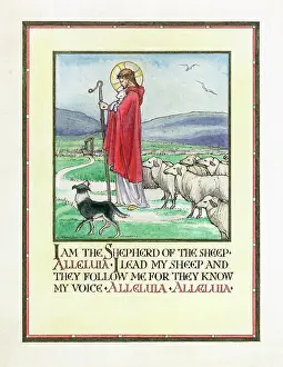 Alleluia: I am the Shepherd of the sheep