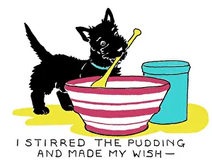 Willing: I stirred the pudding and made my wish