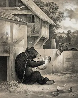C1860: I told you so!