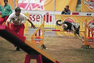 Lausanne: I World Agility Championship