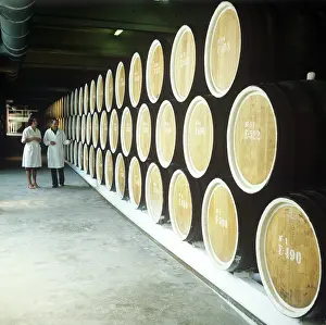 Wines: Ialoveni Winery, 1982