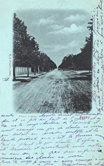 Iasi: Iasi, Romania - Aleea Copou