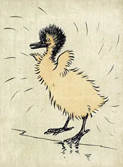 Flaps: IBIS CHICK ALDIN 1907