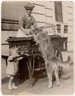 Insists: ICE CREAM SELLER & DOG