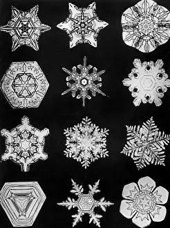 Bentley: Ice crystals, 1942