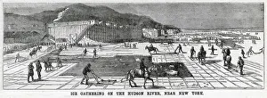 Ploughs: Ice-cutting on the Hudson River 1875