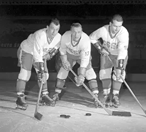 Valtr: Ice hockey players