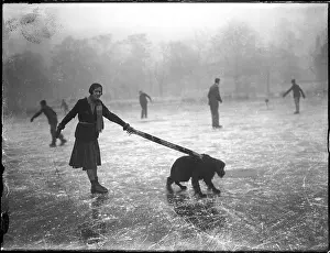 Ice Skating Dog
