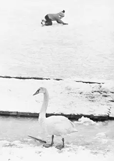 Donau: Ice skating on Old Danube 1977
