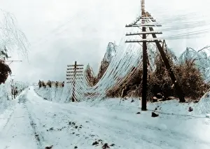 Intense: Ice On Telephone Lines