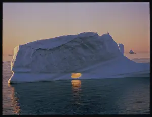 Floe: Iceberg off Greenland