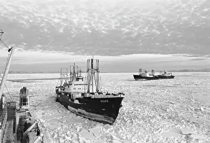 Ilyenko: Icebreaker in the sea