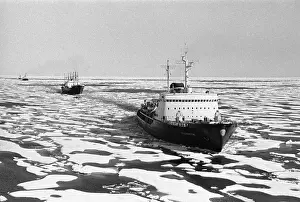 Icebreaker: Icebreaker Vladivostok
