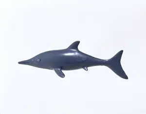 Invicta: Ichthyosaur