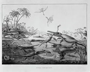 Plesiosaurus: Ichthyosaurr, Plesiosaurus, Pterodactylus
