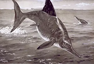 Neave: Ichthyosaurus