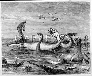 Ichthyosaurus: Ichthyosaurus and other Jurassic creatures