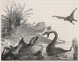 Ichthyosaurus: Ichthyosaurus, with Plesiosaur and Pterodactyls