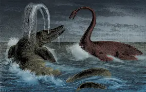 Riou: Ichthyosaurus and Plesiosaurus