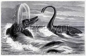 Spouting: Ichthyosaurus and Plesiosaurus