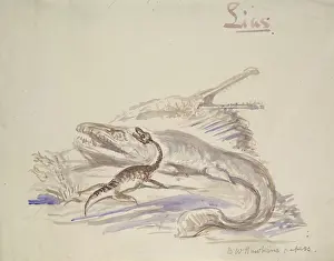 Plesiosaurus: Ichthyosaurus, Plesiosaurus, Stenosaurus