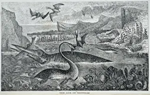 Plesiosaurus: Ichthyosaurus, Pterodactylus, Plesiosaurus