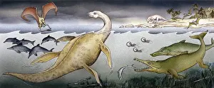 Locomotion: Ichthyosaurus, Rhamphorhynchus, Plesiosaurus, Megalosaurus