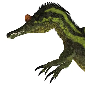 Laosensis: Ichthyovenator dinosaur head