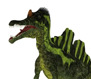 Laosensis: Ichthyovenator dinosaur, profile view ith mouth