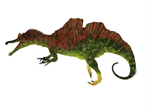 Talon: Ichthyovenator dinosaur, side view on white background