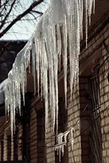 Denisov: Icicles, 1999