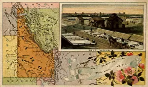 Idaho: Idaho and Salt Wells