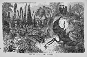 Riou: Ideal landscape of the Liassic Period