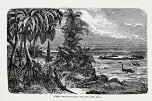 Riou: Ideal landscape of the Lower Oolite Period