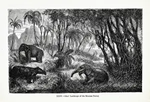 Riou: Ideal landscape of the Miocene Period