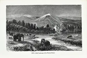 Ideal landscape of the Pliocene Period
