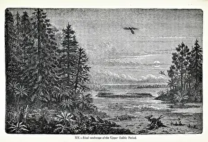 Riou: Ideal landscape of the Upper Oolitic Period