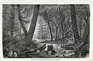 Riou: Ideal view of a marshy forest of the Coal Period