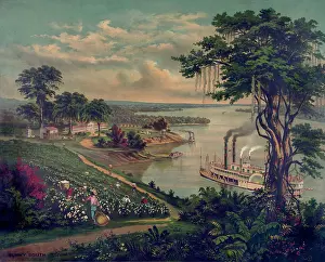 Idealized: Idealized view of a plantation in the Sunny ?