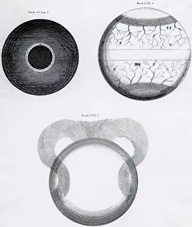 1817: Ideas of different stages in the formation of