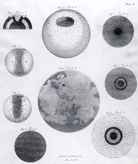 1817: Ideas of different stages in the formation of
