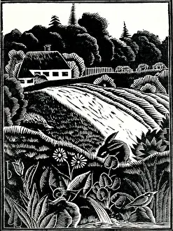 Fertile: An idyllic rural scene