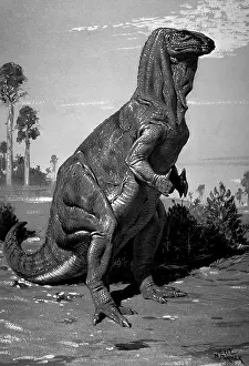 Neave: Iguanodon