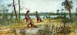 Ankylopollexia: Iguanodon