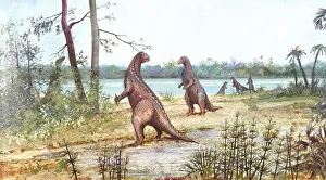 Ankylopollexia: Iguanodon