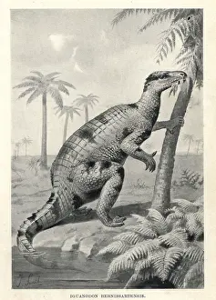 Smit: Iguanodon bernissartensis
