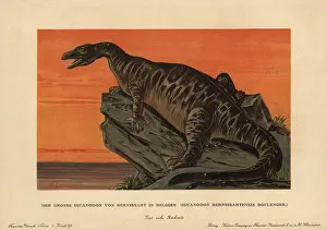 Tiere: Iguanodon bernissartensis, extinct ground-dwelling