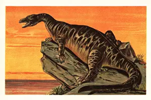 Late Jurassic: Iguanodon bernissartensis, extinct species of