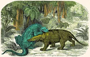 Megalosaurus: Iguanodon Biting Megalosaurus, Cretaceous