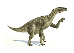 Rearing: Iguanodon dinosaur in dynamic posture